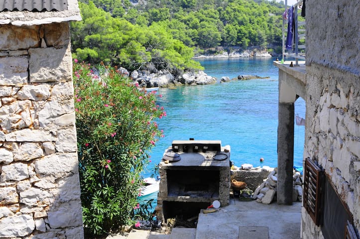 Colours with your meal