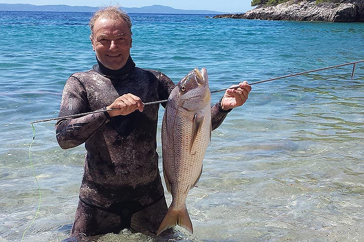 Waters teaming with fish