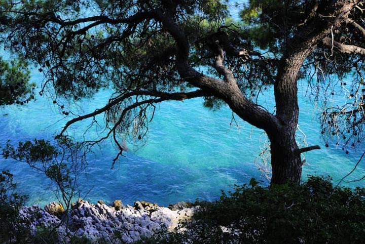 Colours ot the paradise